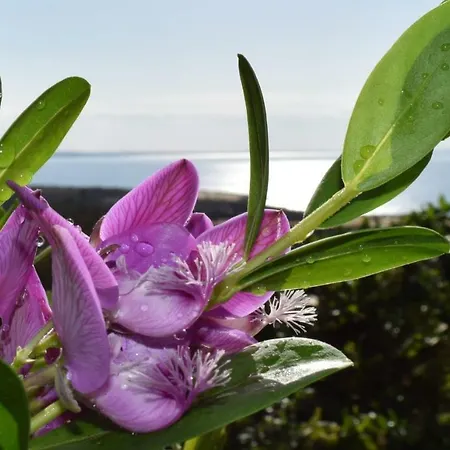 Beautiful Sea View House In Сasa de vacaciones *